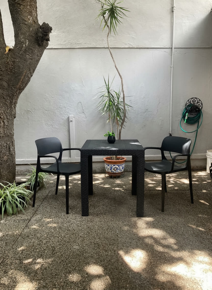 Foto de la galería 7