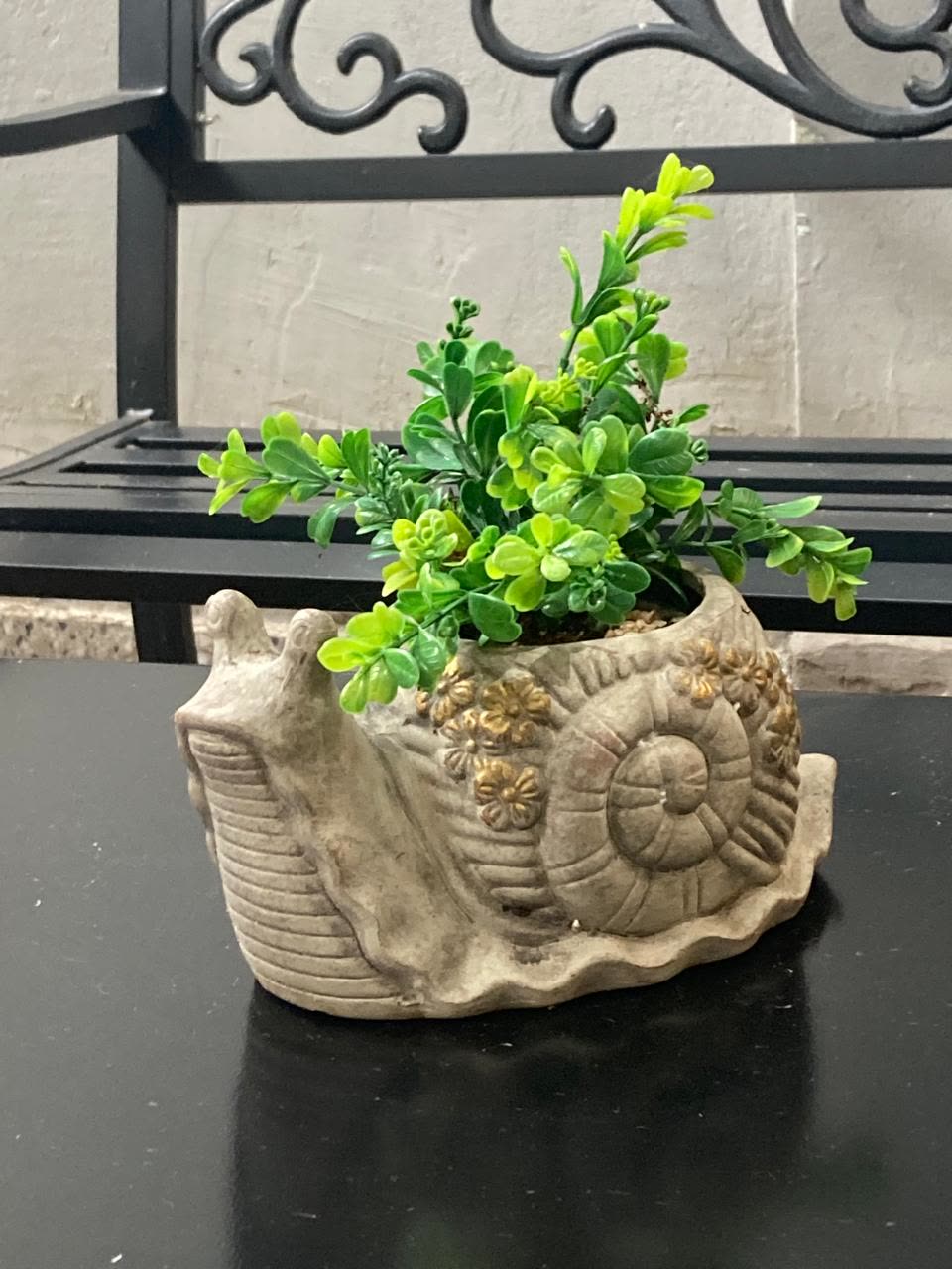 Foto de la galería 8